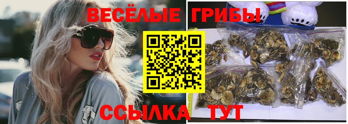 Галлюциногенные грибы ЛСД  Вход с VPN  Новошахтинск 